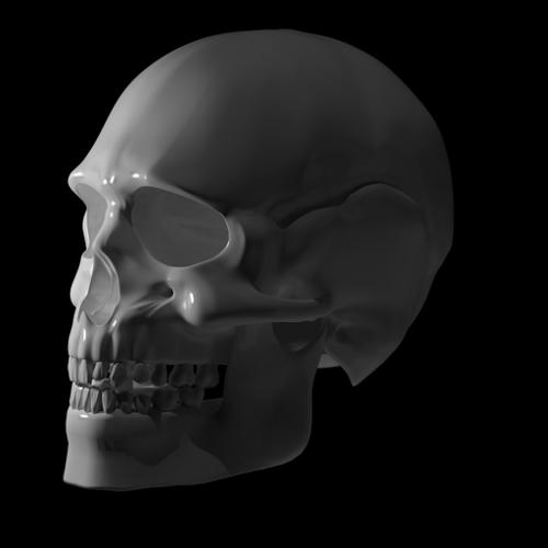 Skull preview image